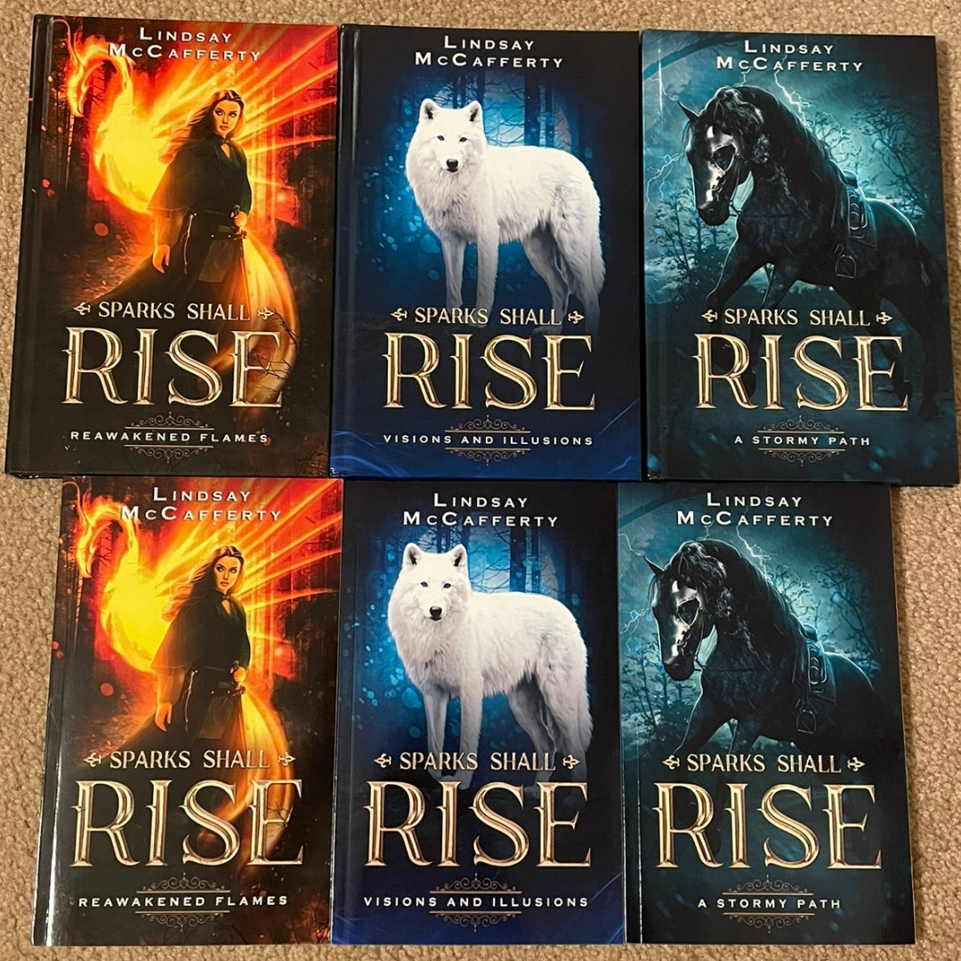 My books, Reawakened Flames, Visions and Illusions, and A Stormy Path, in hardcover and paperback.